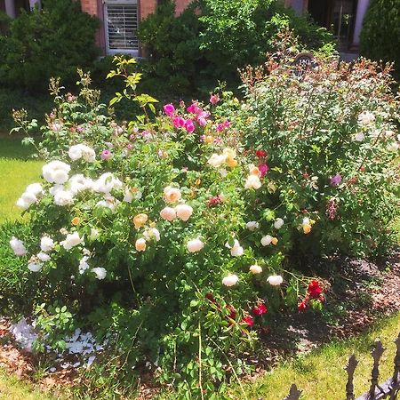 סולט לייק סיטי Historic Ellerbeck Mansion Bed & Breakfast מראה חיצוני תמונה