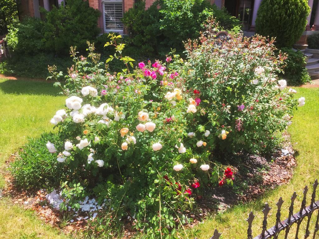 סולט לייק סיטי Historic Ellerbeck Mansion Bed & Breakfast מראה חיצוני תמונה